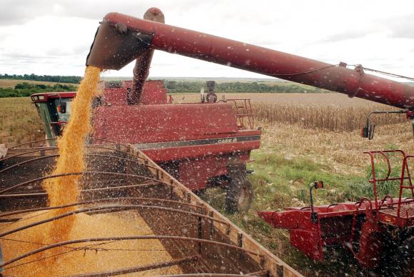 Colheita de arroz antes das enchentes evitou maiores problemas. - Foto: Divulgação/Agência Brasil