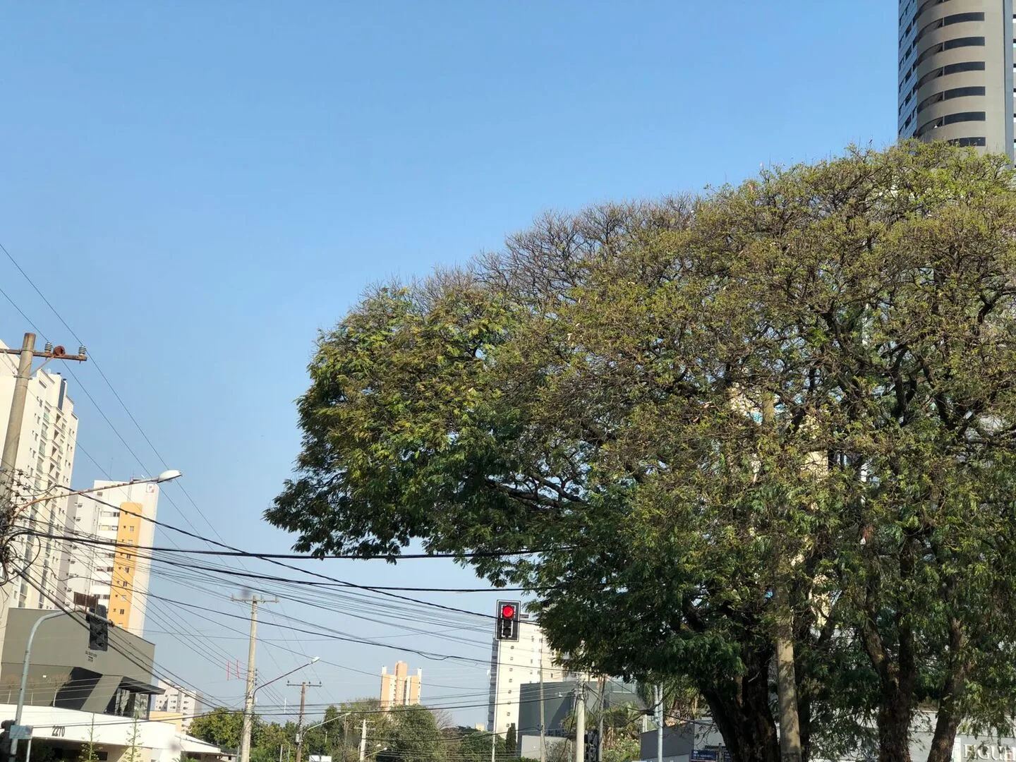 Nas primeiras horas do dia Campo Grande registrou mínima de 20ºC. - Foto: Arquivo/CBN-CG