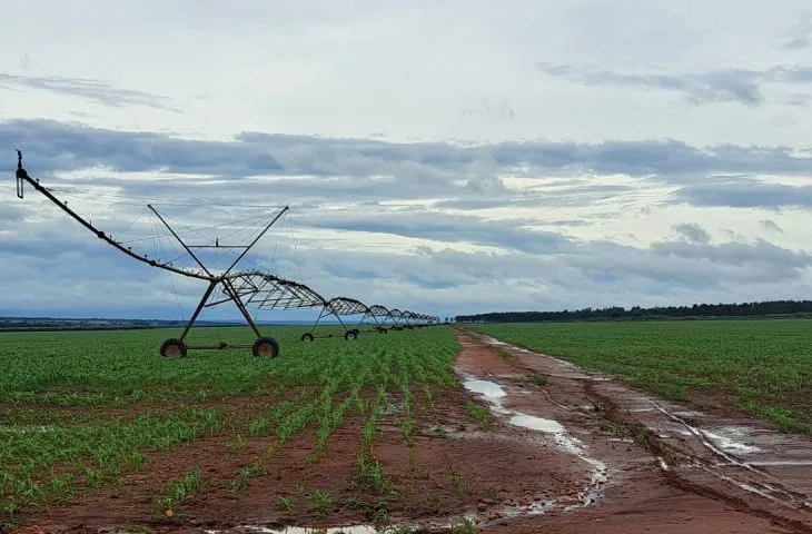 Do total, R$ 213,727 milhões são do FCO Rural. - Foto: Reprodução/Governo de MS