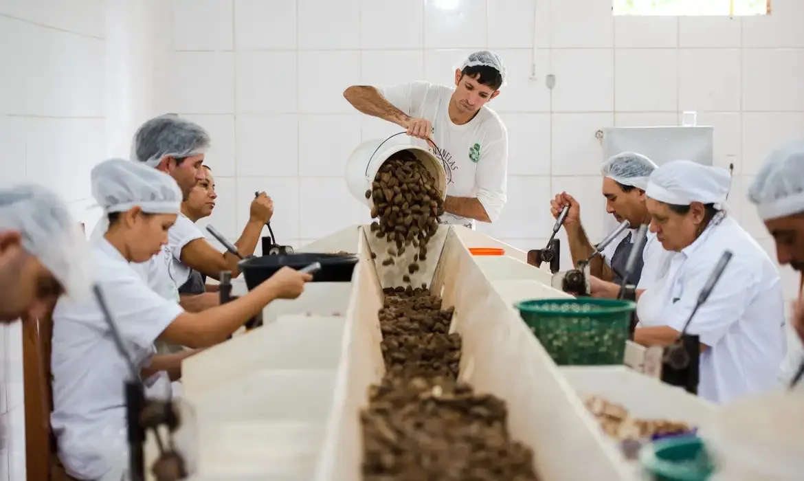 Cooperativas oferecem ambiente de trabalho harmonioso e preços mais baixos ao consumidor - Foto: Marcelo Camargo/Agência Brasil