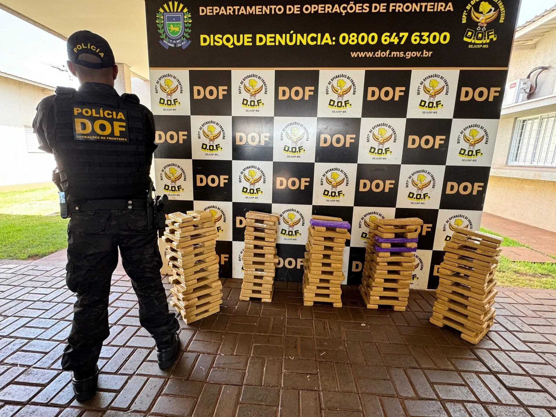 Droga foi avaliada em R$ 394 mil - Foto: Divulgação/DOF