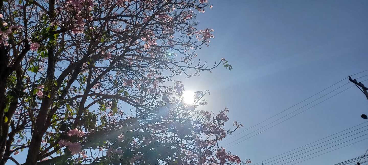 O céu deve ficar ensolarado e com poucas nuvens, em Três Lagoas. - Foto: Arquivo/JPNews