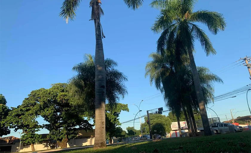 Céu aberto e sem previsão de chuva para Três Lagoas - Alfredo Neto/RCN67