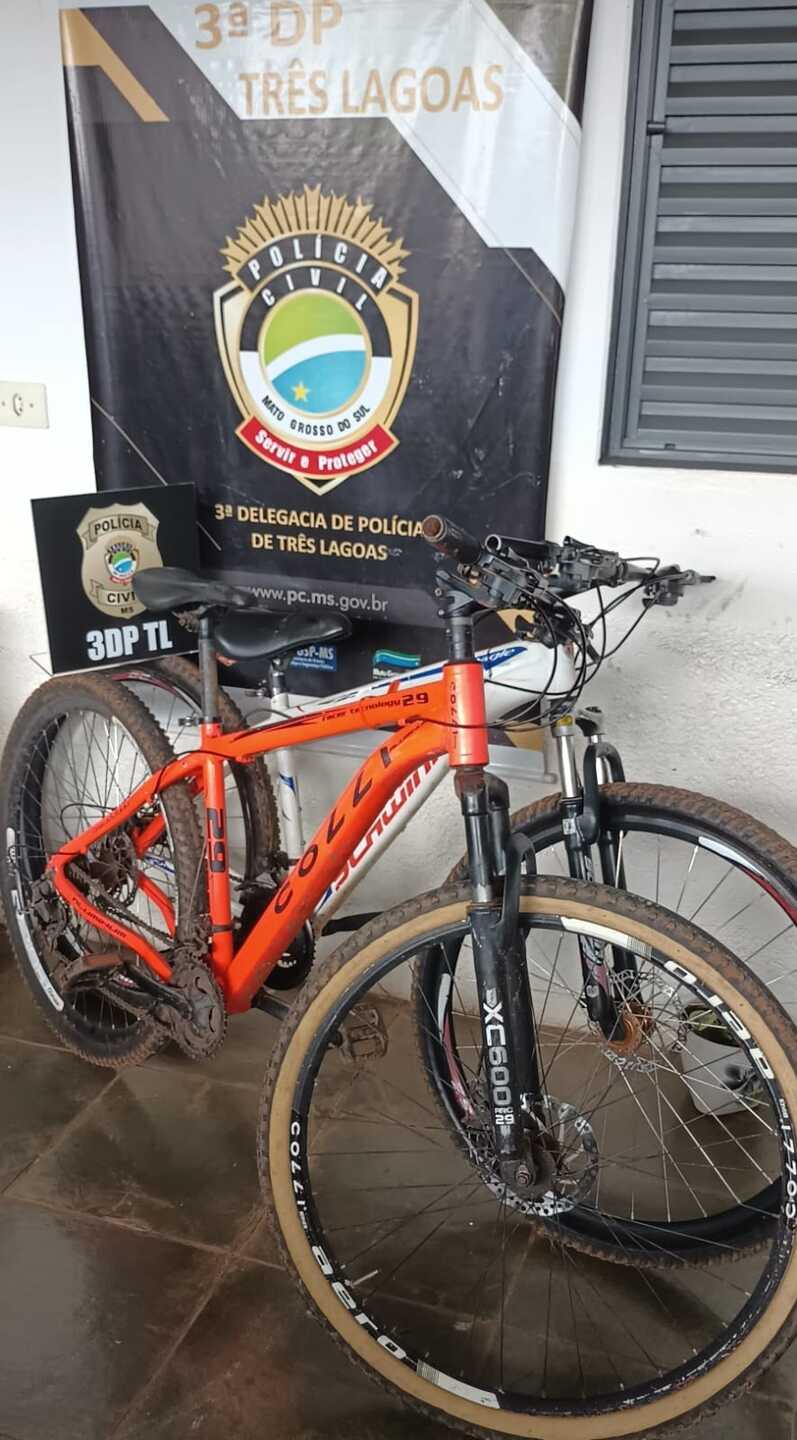 Com uma extensão fixa criminal, "Pica-pau" é apontado pela polícia como responsável de diversos furtos na região do Vila Verde, Imperial, Violetas e adjacências - Foto: Divulgação/Polícia Civil