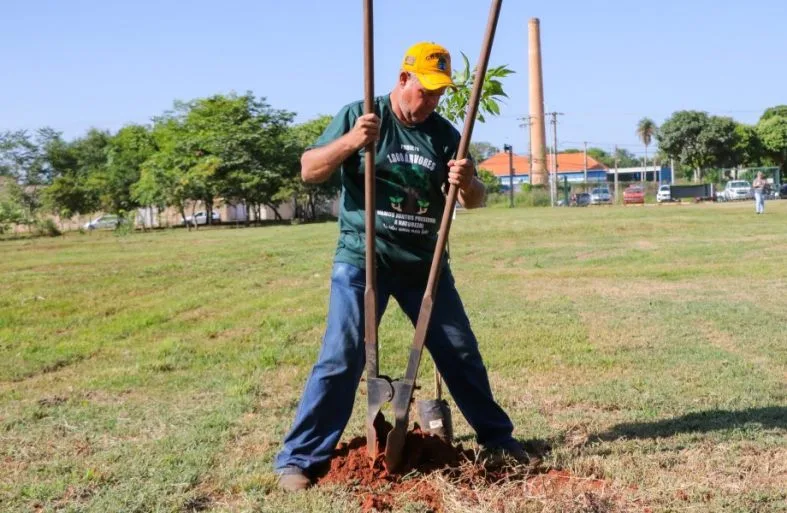 Plantar uma árvore é um compromisso de longo prazo. - Foto: Divulgação/Assessoria