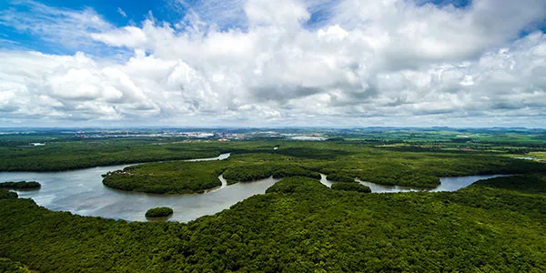 Novas unidades de conservação serão criadas - Foto: Reprodução/BNDES