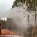 A empresa conta hoje com uma brigada de combate a incêndios composta por mais de 700 profissionais altamente qualificados e com uma das centrais de monitoramento de incêndios mais modernas do país. - Foto: Reprodução/Assessoria