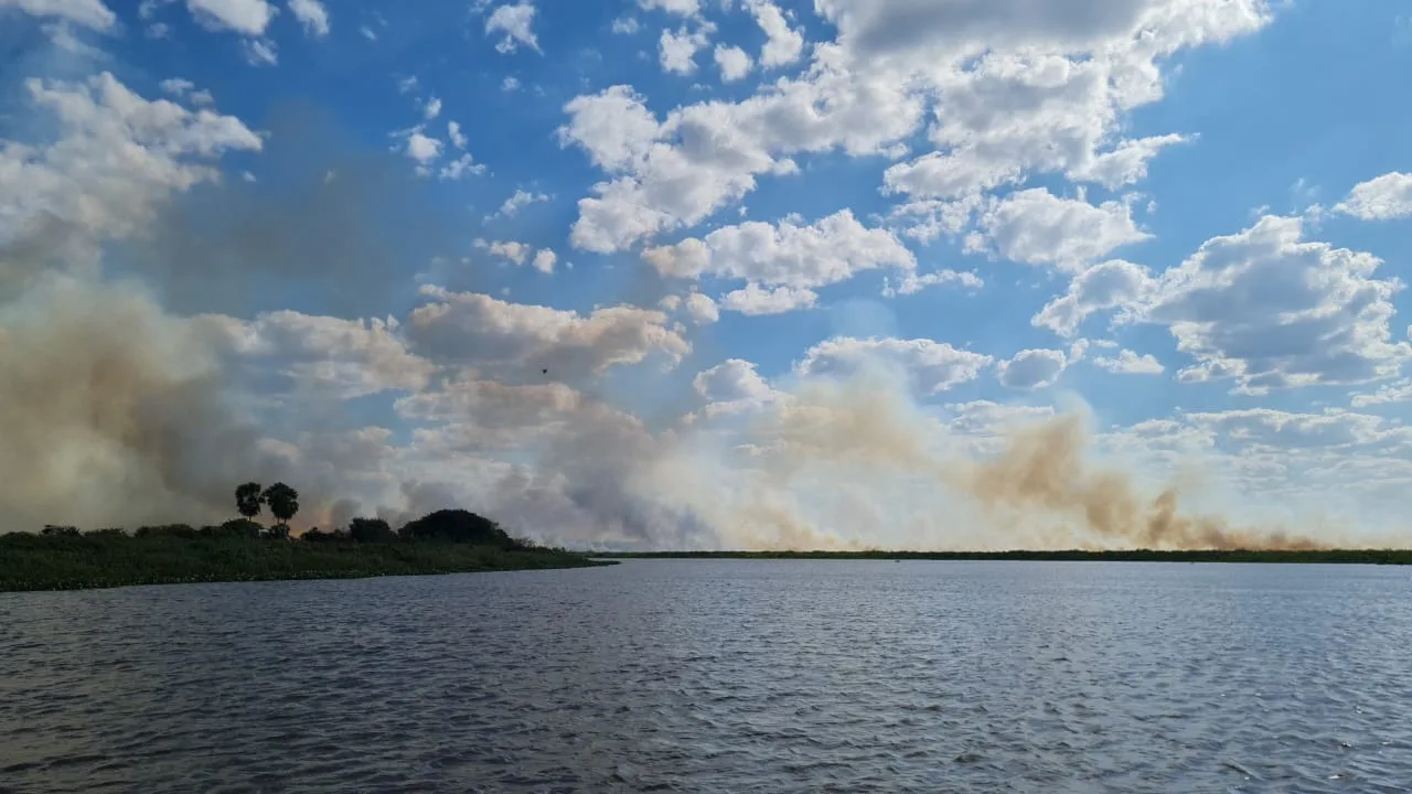 Mais de 7 mil hectares já foram atingidos pelo fogo - Foto: Viviane Oliveira/CBMMS