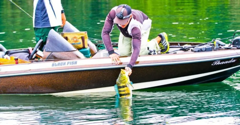 Evento é promovido pela Associação de Pesca Esportiva de Três Lagoas. - Foto: Divulgação/Assessoria