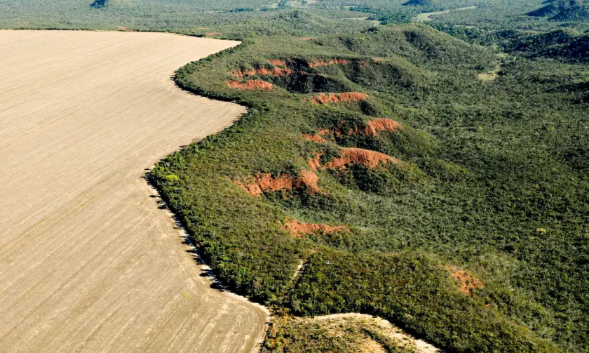 Cerrado ultrapassou Amazônia; e 97% da supressão foi para agropecuária. - Foto: Reprodução/Agência Brasil