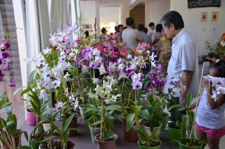 O evento vai ser realizado na Casa do Artesão, a partir das 9h em ambos os dias. - Foto: Divulgação/Prefeitura de Três Lagoas