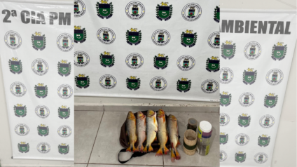Pescado será doado para entidades - Foto: Divulgação/PMA