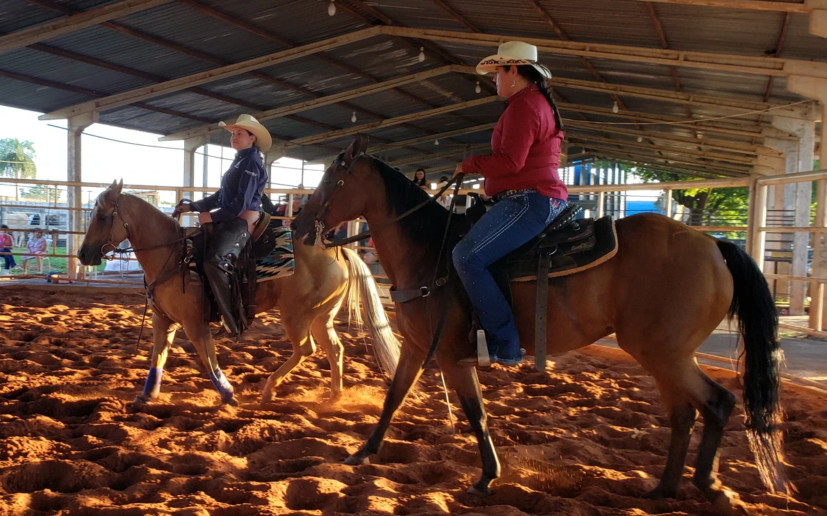 Na parte esportiva, escola disponibiliza prática Ranch Sorting, Três Tambores, Seis Balizas, Hipismo Clássico, Rédeas e Trail - Foto: Reprodução/ Montana Equestre