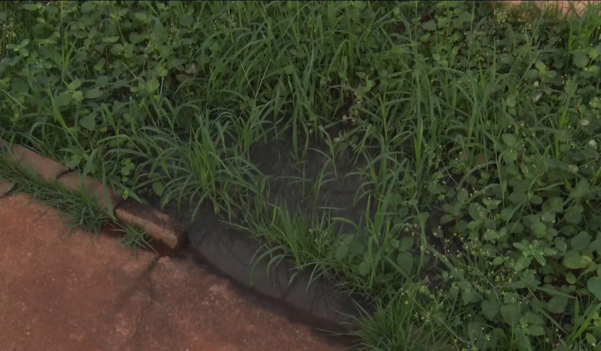 O esgoto aflora no jardim, o que gera mal estar nos moradores - Foto: Reprodução/TVC HD