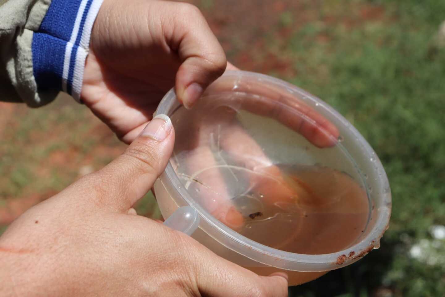 Água parada é local de reprodução do Aedes aegypti - Foto: Reprodução/ Prefeitura de Campo Grande