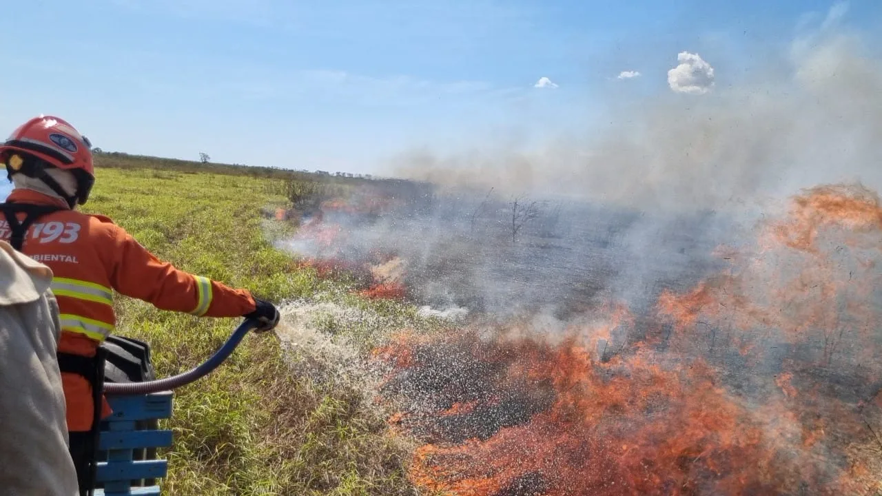 Mais de 100 bombeiros e militares estão trabalhando no combate aos incêndios no Pantanal - Foto: CBMMS