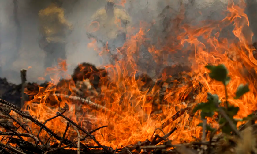 Quase um quarto do território brasileiro pegou fogo, ao menos uma vez, no período entre 1985 e 2023. - Foto: Reprodução/Agência Brasil