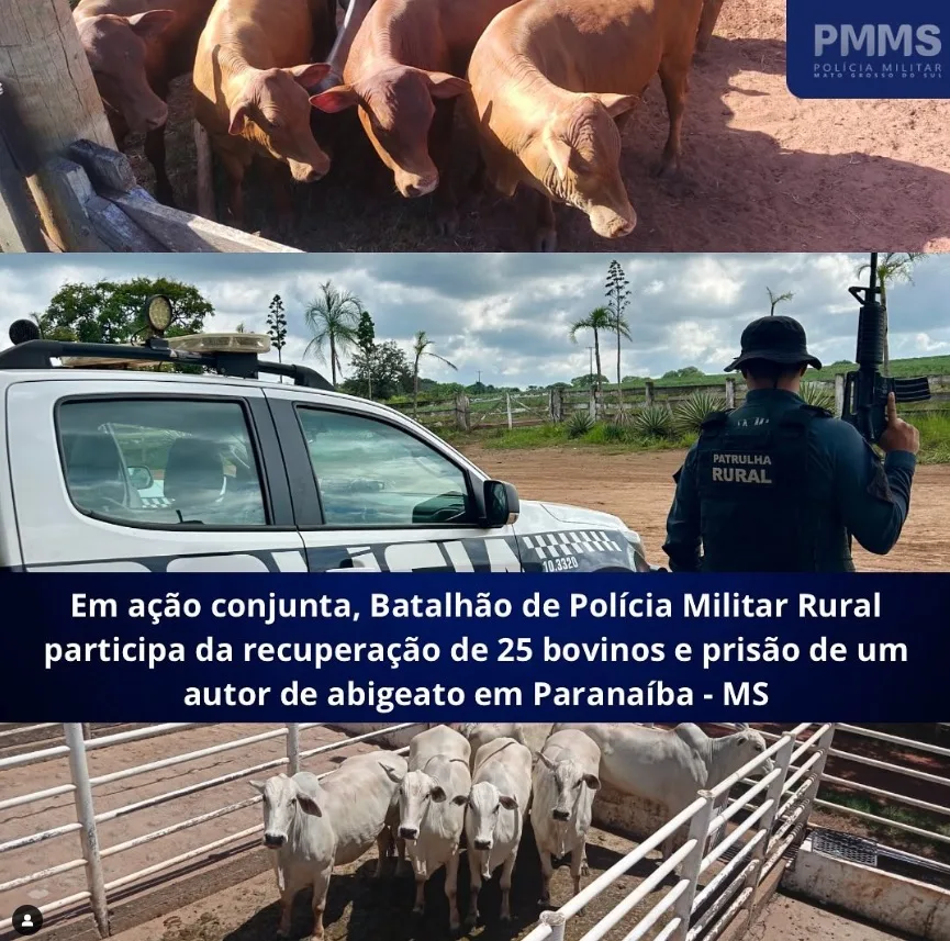 O BPMRu foi recém criado e atua de forma especializada para garantir a prevenção dos crimes no campo - PMR/MS