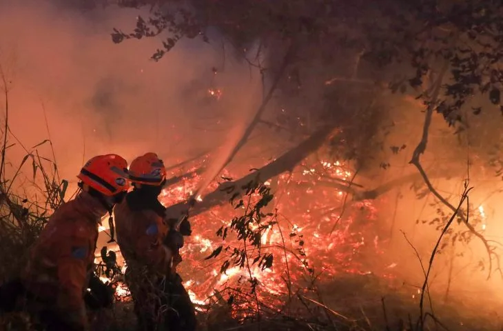 Incêndios no Pantanal este ano bateram recordes - Foto: Reprodução/Governo de MS