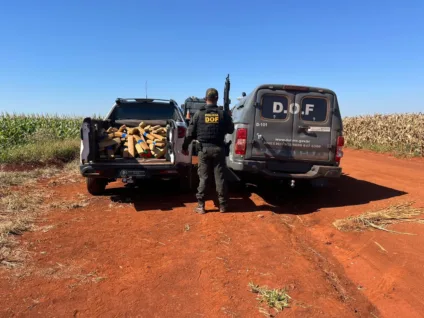 Foram apreendidos 277,9kg de maconha - Foto: Divulgação/DOF
