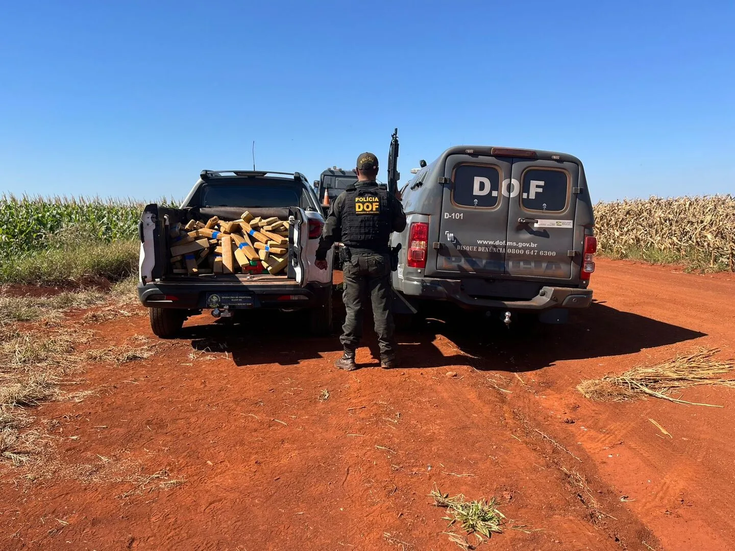 Foram apreendidos 277,9kg de maconha - Foto: Divulgação/DOF