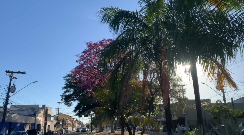 Há mais 20 dias de estiagem, nova frente fria deve chegar entre 15 e 16 deste mês, no estado. - Foto: Alfredo Neto