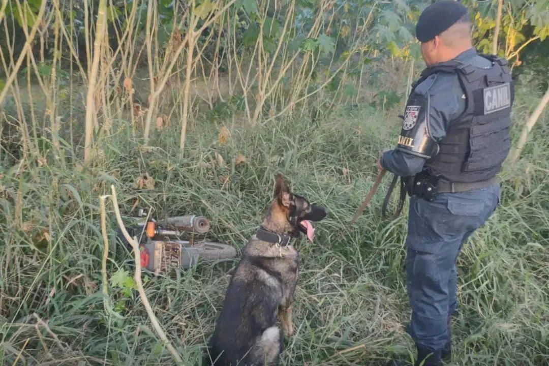 Polícia Civil recebeu informações de possível localização e contou com apoio do K-9 Monster do Canil da PM para localizar motocicleta furtada. - Foto: Divulgação/Polícia Militar