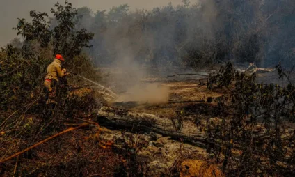 Somando MS e MT, o Pantanal já registrou 653 focos de calor em 2024 - Foto: Mayke Toscano/Secom-MT Somando MS e MT, o Pantanal já registrou 653 focos de calor em 2024 - Foto: Mayke Toscano/Secom-MT