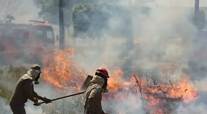 A causa mais frequente dos focos de queimadas urbanas é ação humana. - Foto: Divulgação/Corpo de Bombeiros MS