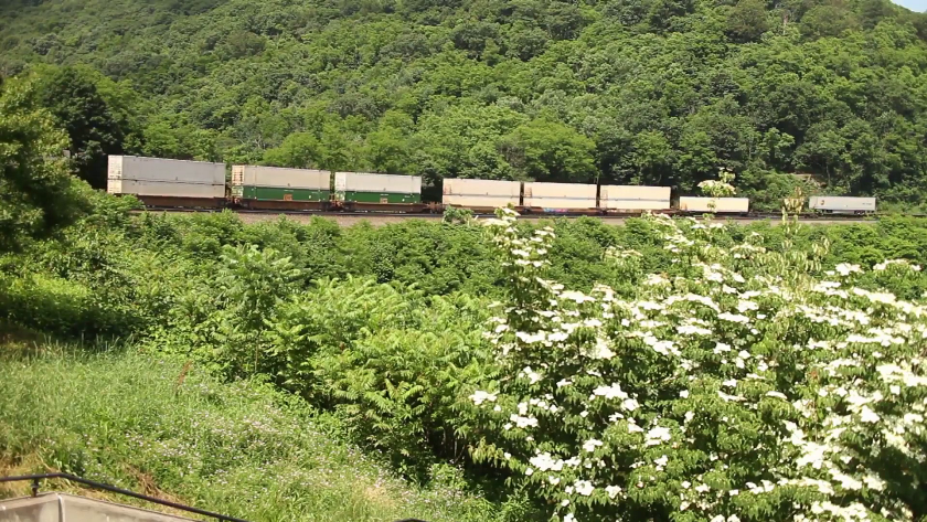 Ferrovia é alternativa para facilitar e baratear transporte de celulose. - Foto: Reprodução/TVC