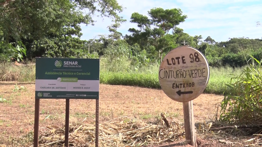 As notificações começaram a ser entregues em abril do ano passado. - Foto: Reprodução/TVC