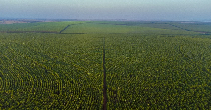 A Eldorado oferece diversos benefícios atrativos para os colaboradores. - Foto: Divulgação/Assessoria