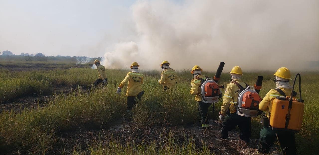 Brigadistas atravessam área alagada para alcançar o ponto de queimada no Pantanal - Foto: Reprodução/ Prevfogo