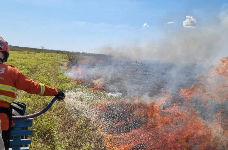 Até o momento já foram queimados 500 mil hectares, em Mato Grosso do Sul - Foto: Reprodução/ Governo de MS