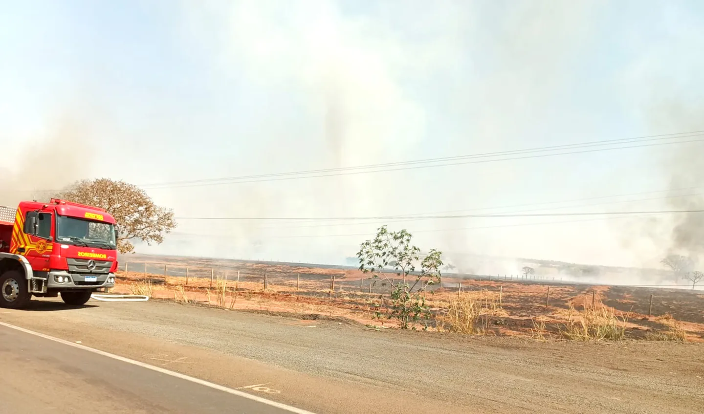 Pastagens foram  completamente devastadas pelos incêndios - Divulgação