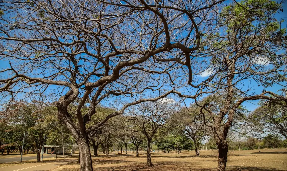 O alerta de baixa umidade afetará 881 municípios. - Foto: Arquivo/JPNews