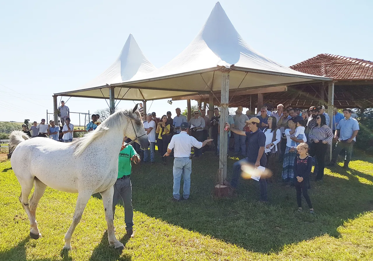 1ª edição da Expo Equestre aconteceu em 2017 - Reprodução/Acrissul