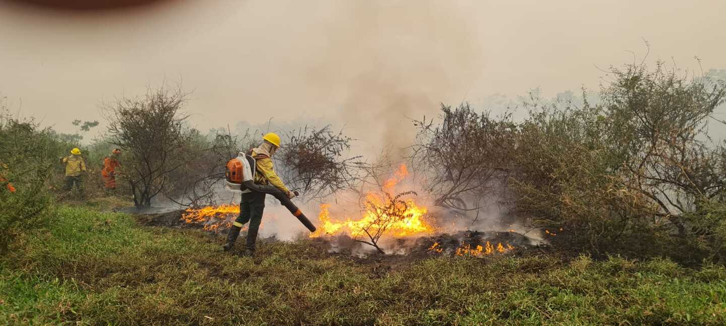 Área atingida chegou a 333 mil mil hectares - Foto: Viviane Amorim/MMA