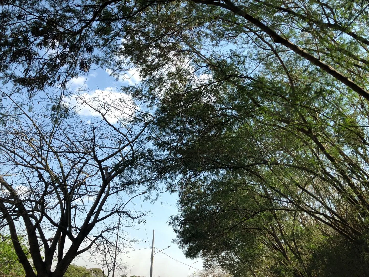 Campo Grande amanhece com 11°C e chega aos 24°C durante a tarde - Foto: Arquivo/CBN-CG