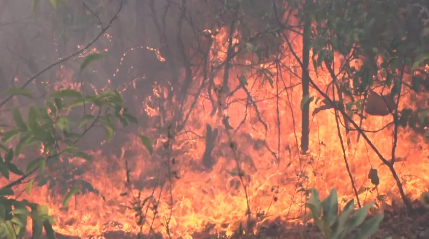 As autoridades investigam os responsáveis por provocar incêndios em áreas rurais e urbanas de Três Lagoas. - Foto: Reprodução/TVC