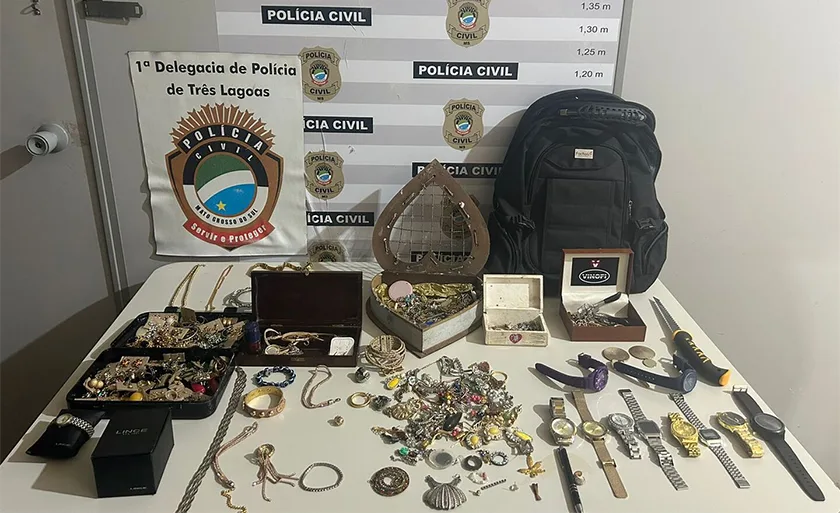 Suspeito escondeu os itens furtados em um terreno baldio. - Foto: Divulgação/Polícia Civil