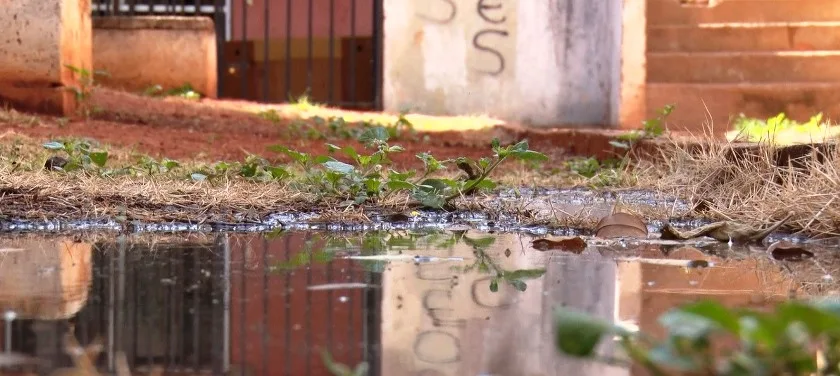 Esgoto a céu aberto em frente a casas no Bem-te-vi e Andorinha. - Foto: Reprodução/TVC