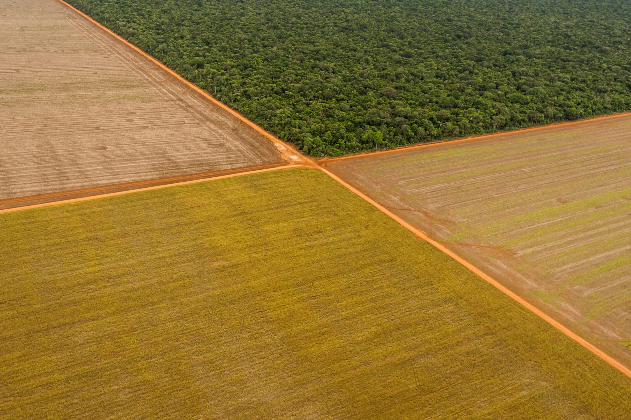 Reunião vai tratar sobre insegurança jurídica - Foto: Reprodução/ Infoamazonia