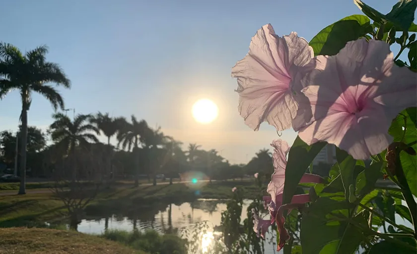 A temperatura máxima pode chegar aos 39°C - Alfredo Neto/RCN67