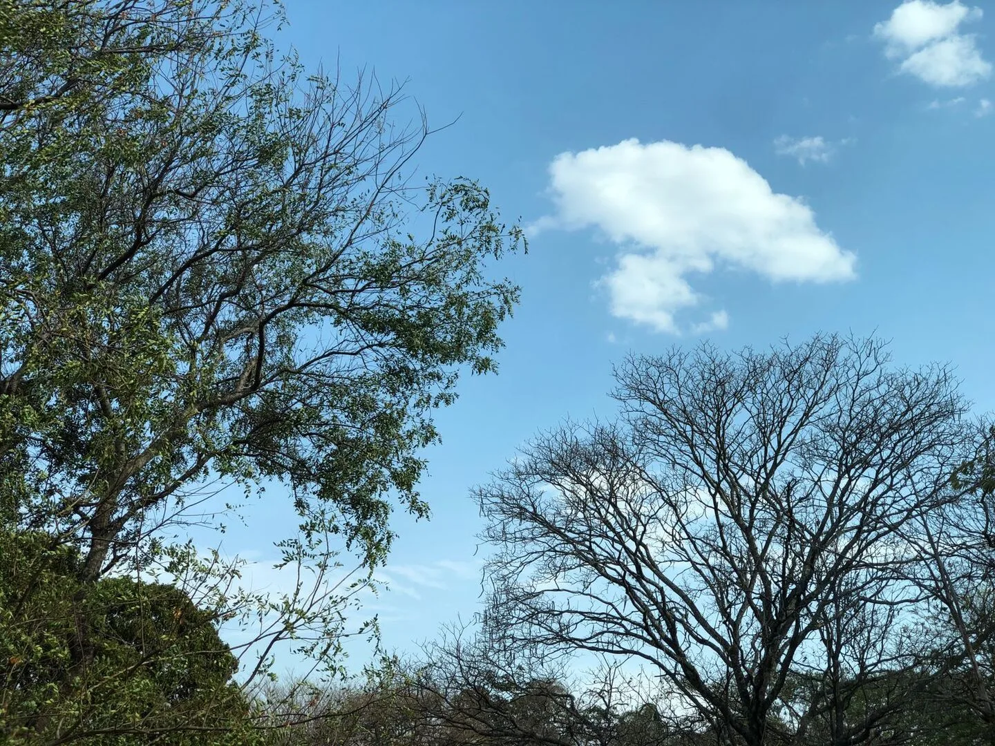 A mínima prevista para Campo Grande é de 22°C e a máxima de 34°C - Foto: Arquivo/CBN-CG