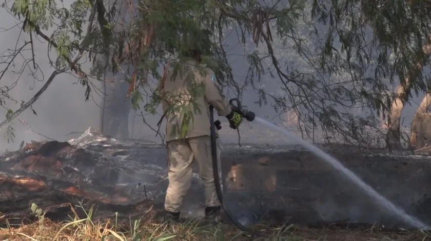 Corpo de Bombeiros combate incêndio em área de floresta próximo à UFMS de Três Lagoas. - Foto: Reprodução/TVC