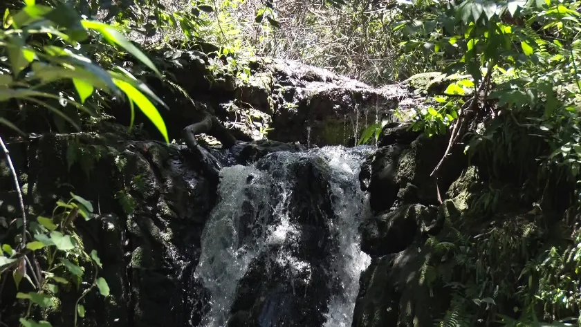 Parque Natural Municipal do Pombo está com acesso suspenso. - Foto: Arquivo/JPNews