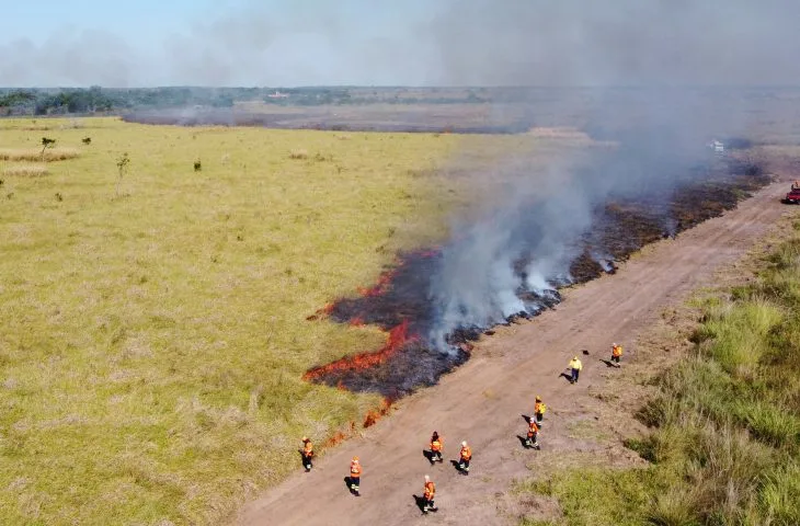 Aceiros são faixas de terreno sem vegetação que funcionam como barreiras contra a propagação do fogo - Divulgação/Governo de MS