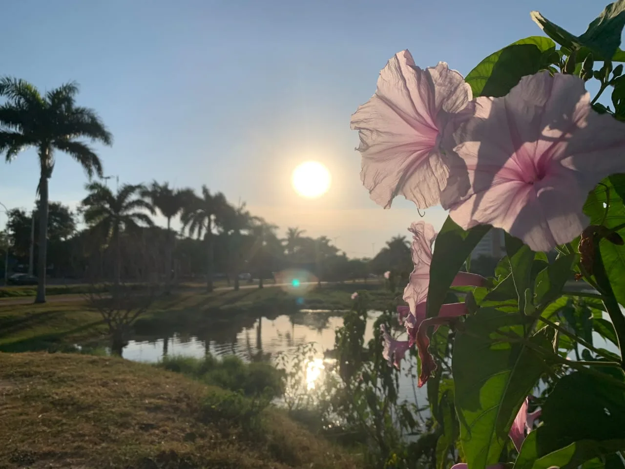 Não há previsão de chuva para região Leste de Mato Grosso do Sul - Alfredo Neto/RCN67