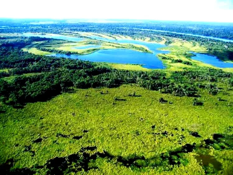 Evento visa elaborar  Estratégia e Plano de Ação Estadual de Biodiversidade - Foto: Reprodução/Semadesc